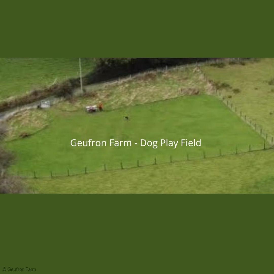 Farmhouse & Cottage At Geufron Farm - Dog Friendly Bryn-crug Εξωτερικό φωτογραφία